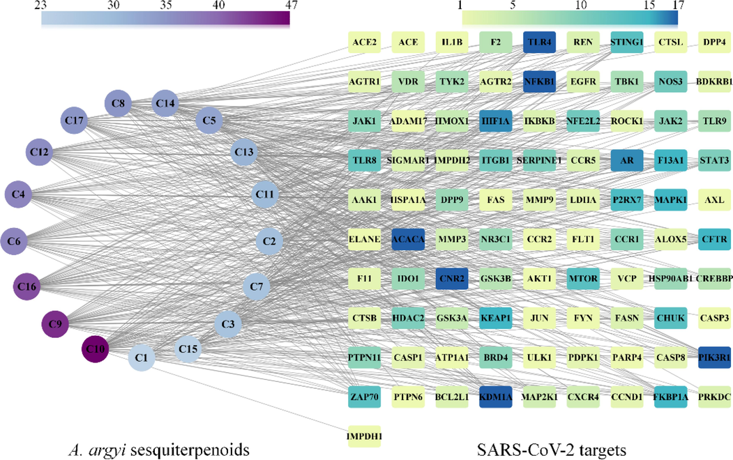 Compound-target network of A. argyi sesquiterpenoids formula constructed using Cytoscape.