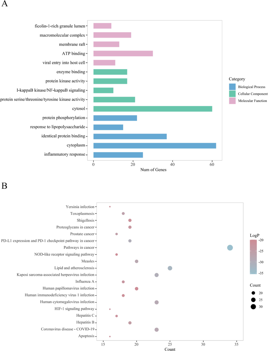 (A) The top 5 pathways for GO enrichment analysis of the targets of AASs. (B) The top 20 pathways for KEGG enrichment analysis of the targets of AASs.