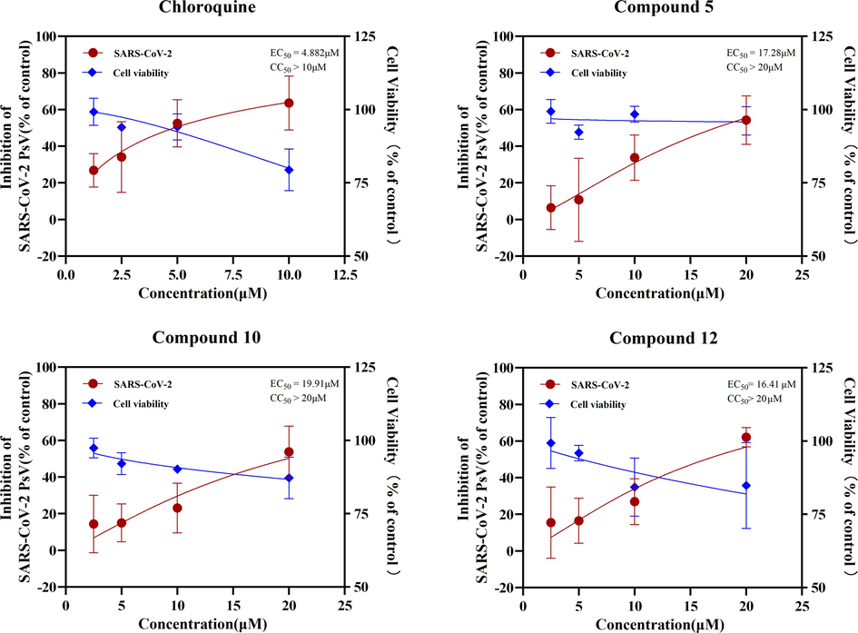 Inhibitory activity of the positive drugs chloroquine, Compound 5, 10 and 12 against pseudovirus infection in HEK293T/ACE2 cells.