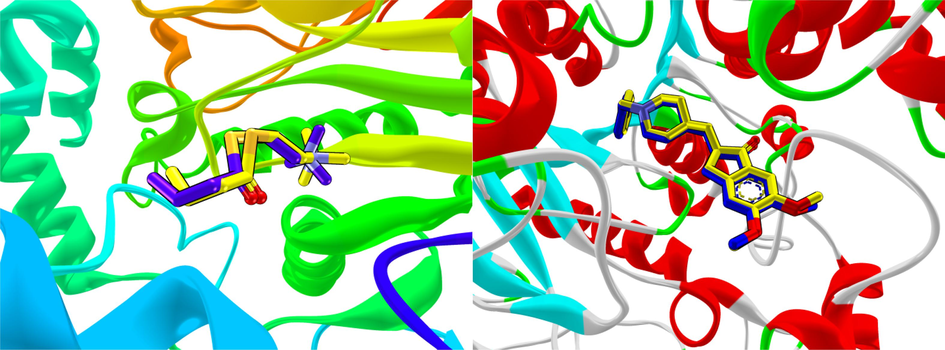 (a) Redocked butyrylthiocholine overlapping with co-crystallized butyrylthiocholine in the active site of BChE with rmsd of 1.7Å; (b) Redocked donepezil aligned well with co-crystallized donepezil in the active site of AChE with rmsd of 0.8Å.