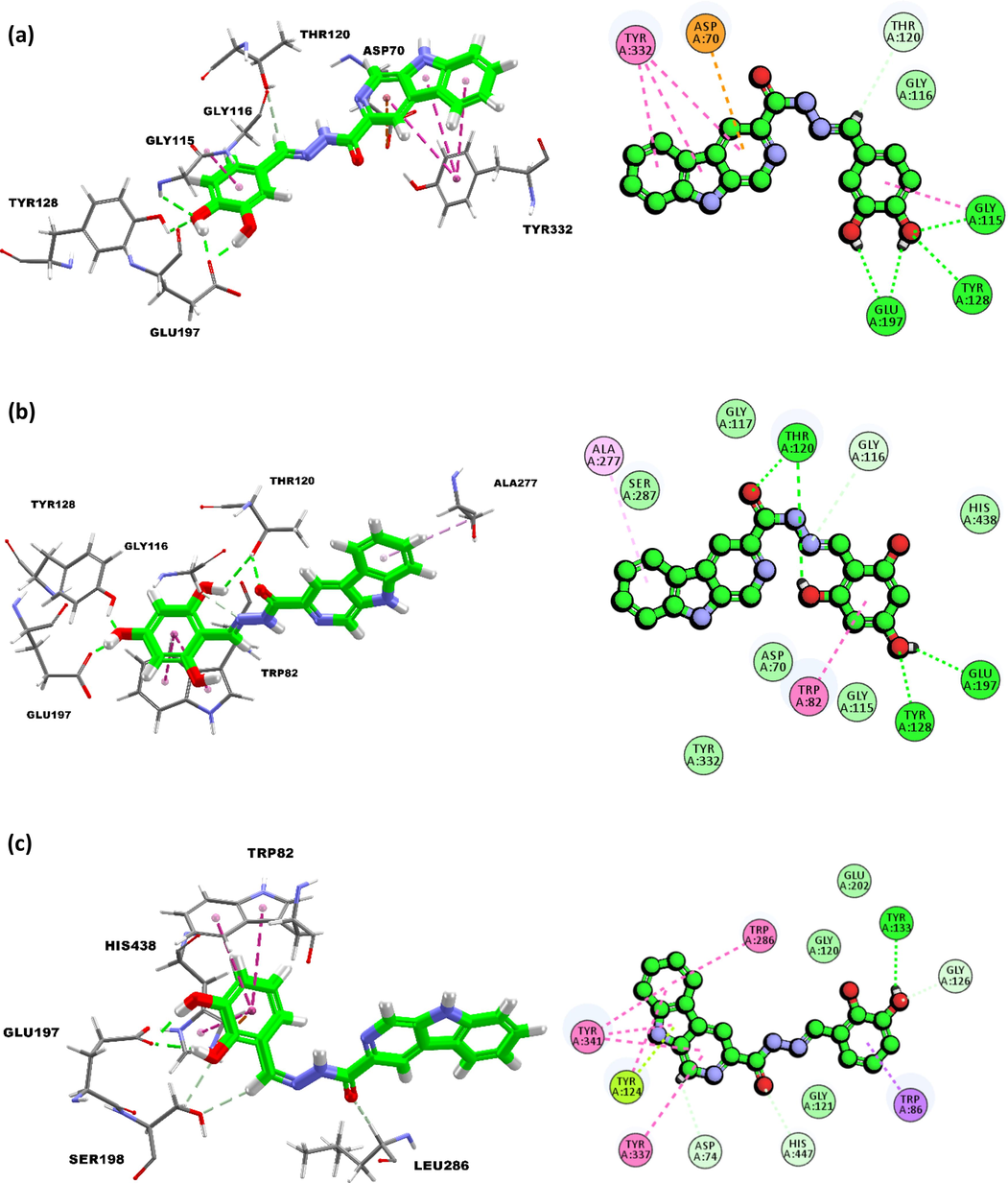 (a) Binding interactions and 2D-interaction diagram of compound 10 with butyrylcholinesterase; b) Binding interactions and 2D-interaction diagram of compound 2 with butyrylcholinesterase; (c) binding interactions and 2D-interaction diagram of compound 1 with butyrylcholinesterase.