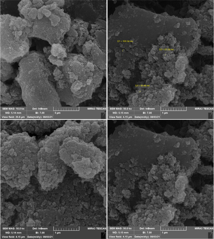 FESEM images of Mg-Al-LDH/AC.