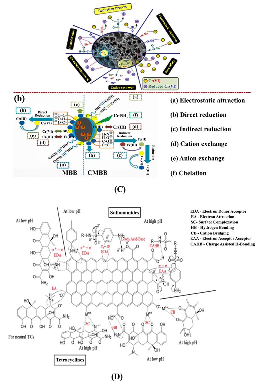 Adsorption mechanism of some pollutants on biochar (A) adsorption mechanism of phenol (Qiu et al., 2022), (B) Important molecular non-bonding interactions that played a major role in the removal of imidacloprid, atrazine and azoxystrobin (Qiu et al., 2022), (C) Cr(VI) removal mechanisms (a) on the surface of biochar (b) on the surface of modified biochar (Liang et al., 2021), (D) Adsorption mechanisms of sulfonamides and tetracyclines on biochar surfaces (Peiris et al., 2017).