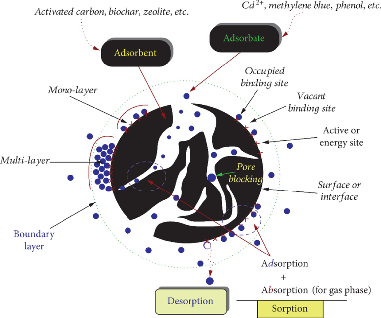 Basic terminologies used in the adsorption process (Tran et al., 2017).