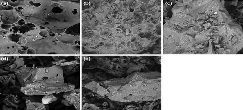 SEM images of pure pumice (a), Co-supported pumice (b), 2-anisidine-adsorbed Co-supported pumice (c), 3-anisidine-adsorbed Co-supported pumice (d), 4-anisidine-adsorbed Co-supported pumice (e), (Bardakci et al., 2013).