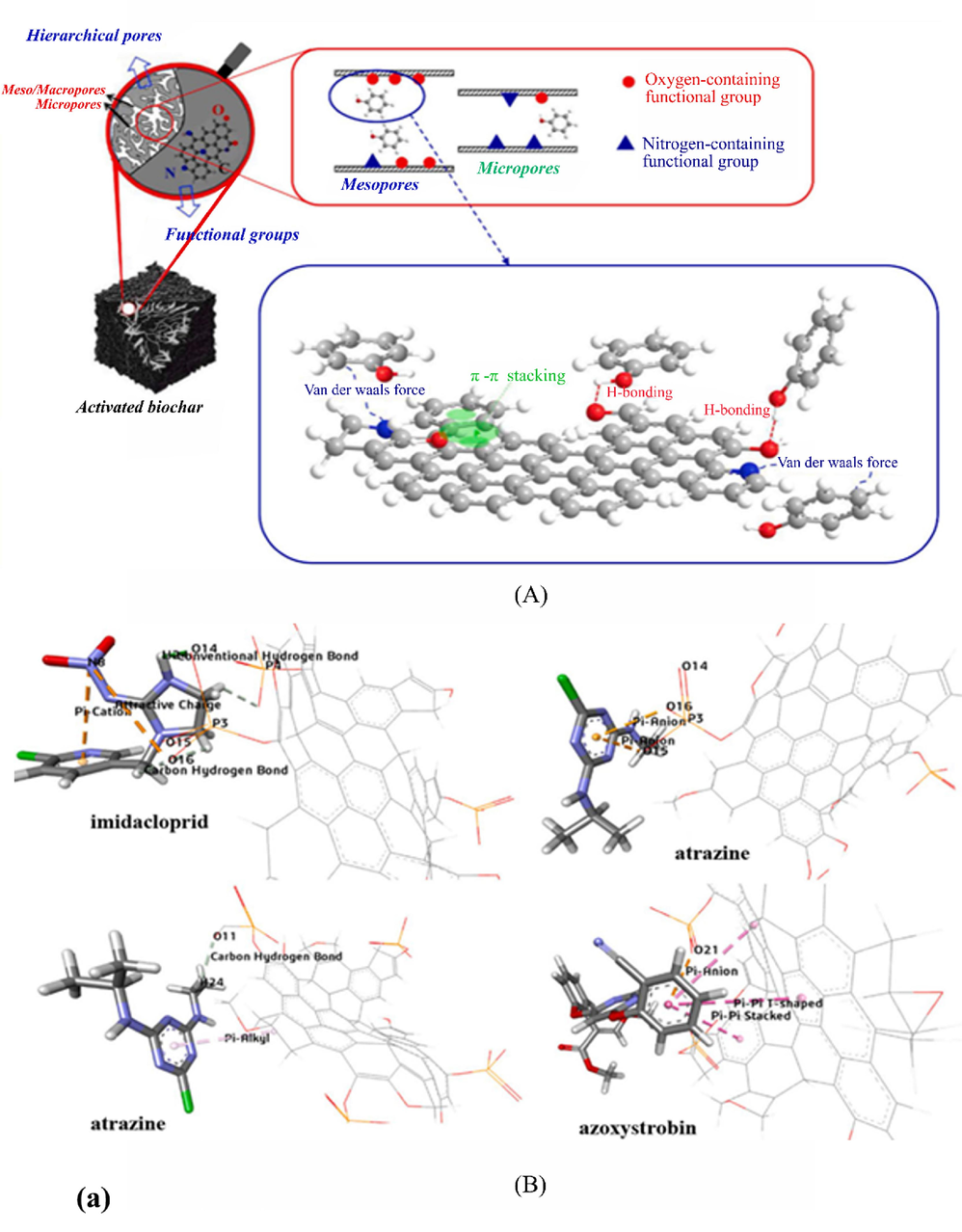 Adsorption mechanism of some pollutants on biochar (A) adsorption mechanism of phenol (Qiu et al., 2022), (B) Important molecular non-bonding interactions that played a major role in the removal of imidacloprid, atrazine and azoxystrobin (Qiu et al., 2022), (C) Cr(VI) removal mechanisms (a) on the surface of biochar (b) on the surface of modified biochar (Liang et al., 2021), (D) Adsorption mechanisms of sulfonamides and tetracyclines on biochar surfaces (Peiris et al., 2017).