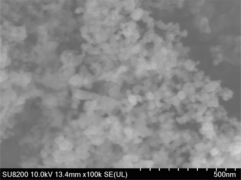 FESEM image of TiO2 nanoparticles.