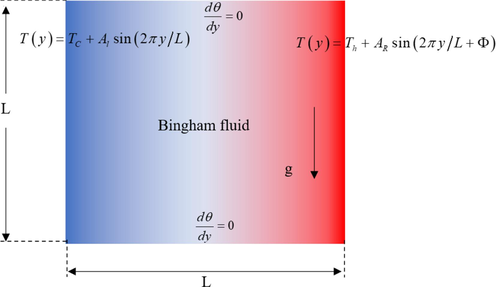 Representative diagrams of the differentially heated cavity.