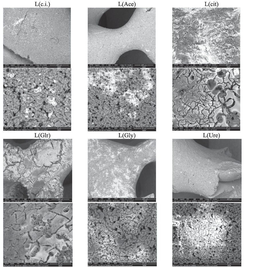 SEM micrographs of the prepared catalysts of L series.