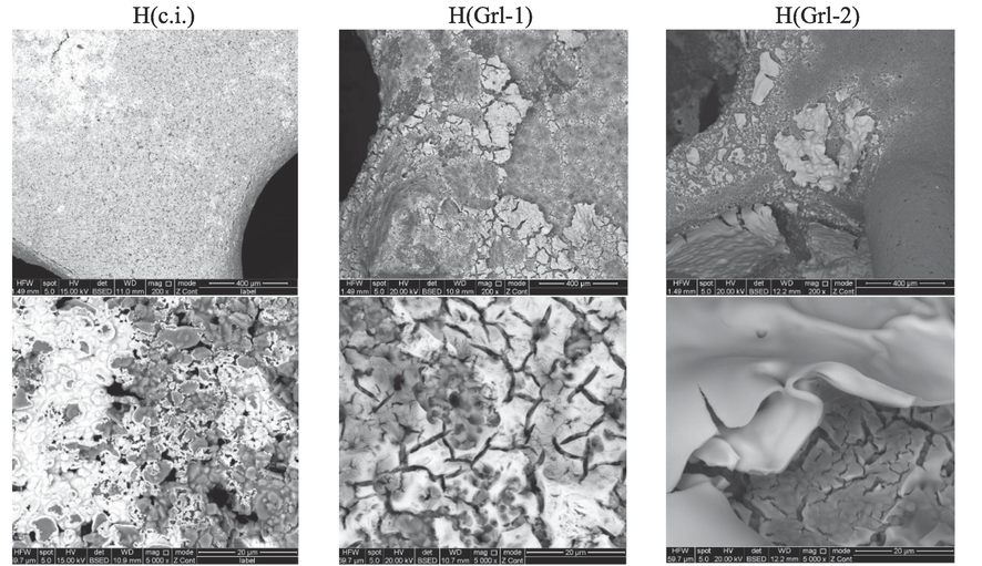 SEM micrographs of the prepared catalysts H(Grl) series.