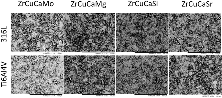 SEM images of the coatings.