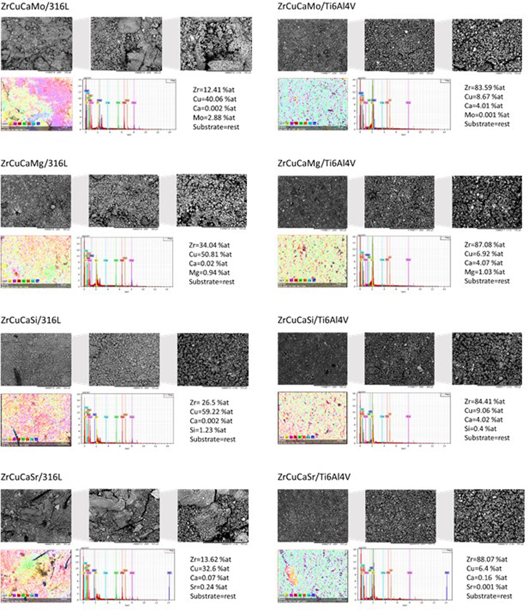 Morphology and elemental composition of investigated surfaces after corrosion in SBF at 37 °C.