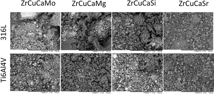 SEM images of the developed surfaces after immersion for 1 day.