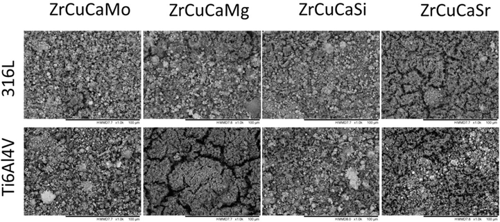 SEM images of the developed surfaces after immersion for 7 days.