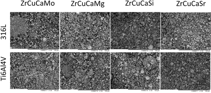 SEM images of the developed surfaces after immersion for 14 days.