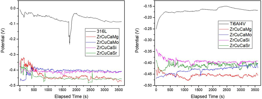 Open circuit potential (EOC) evolution for the investigated samples.