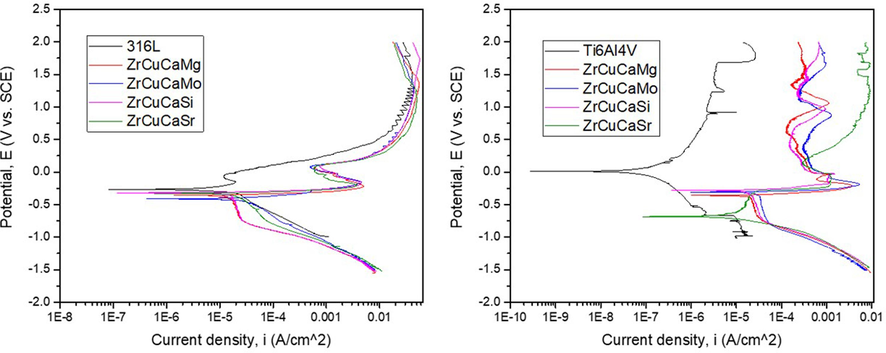 Potentiodynamic curves of the investigated samples.
