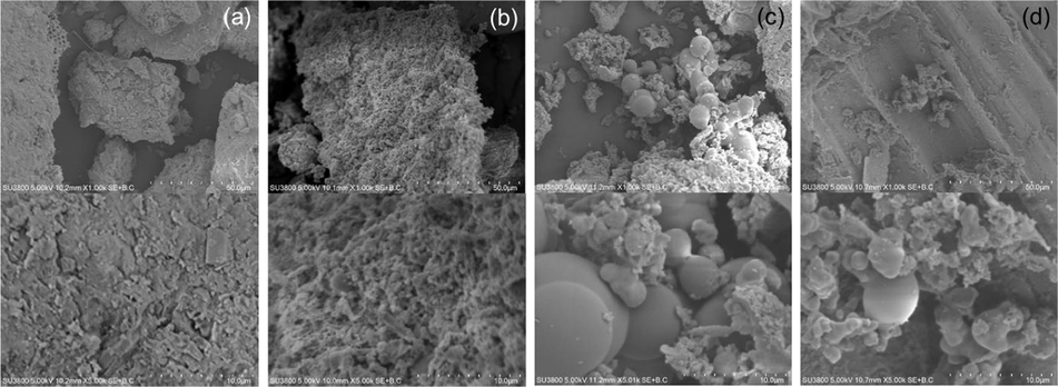 SEM images at 1.0 k and 5.0 k of (a) sludge, (b) HTC-S, (c) HTC-50%SC, and (d) HTC-50%SB.