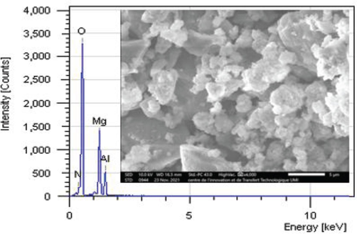 SEM image at 5 µm and EDX analysis of Mg–Al–NO3 catalyst.