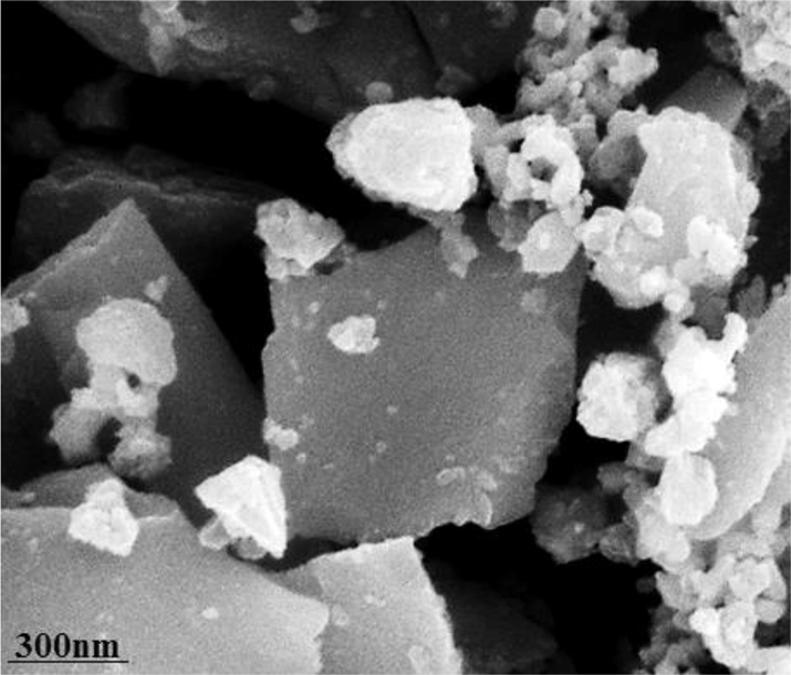 Characterization of synthesized Zn-Ni NPs by FE-SEM.