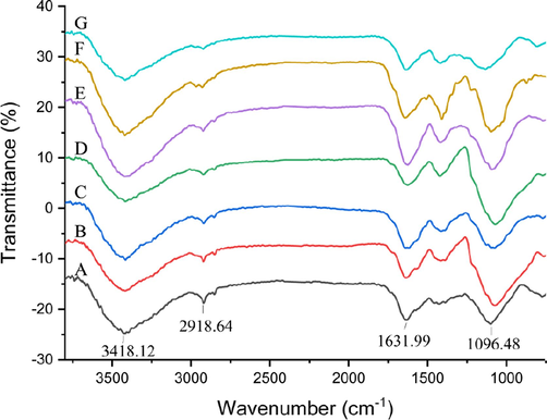 FT-IR spectra of FLPs-HWE (A), FLPs-MAE (B), FLPs-UAE (C), FLPs-UAEE (D), FLPs-UMAE (E), FLPs-AE (F) and FLPs-HSHE (G) prepared by different extraction methods.