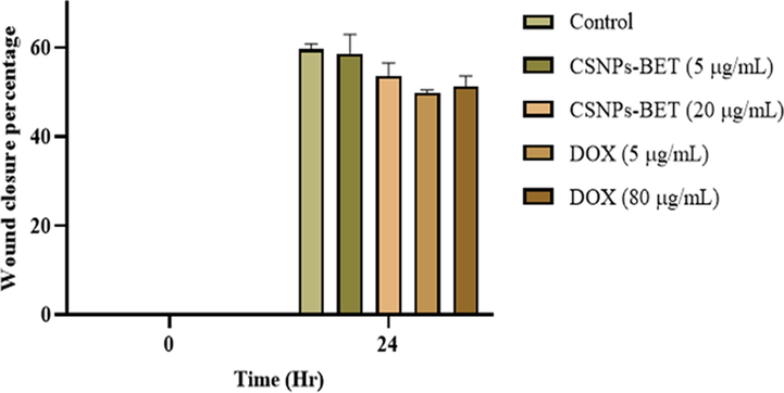 The effect of CSNPs-BET and DOX on MDA-MB-231 cells migratory activity at different concentrations.