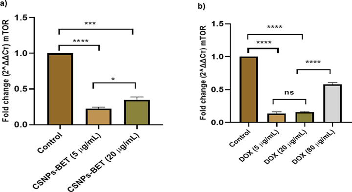 a) CSNPs-BET treatment to breast cancer cells at different concentrations significantly reduces the mRNA expression of mTOR b) DOX treatment inhibits the gene expression of mTOR in MDA-MB-231 cells. P < 0.05, **P < 0.01, ***P < 0.001 vs. control.