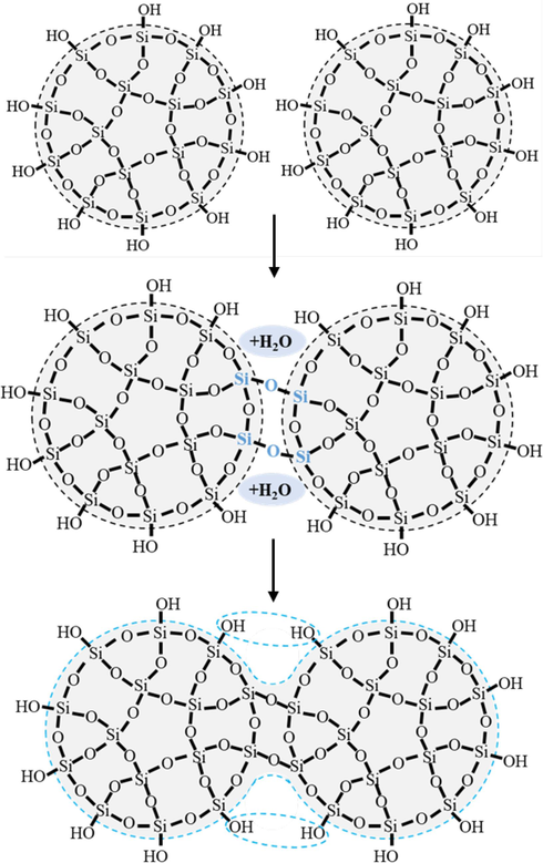 Schematic illustration of the polymerization process.