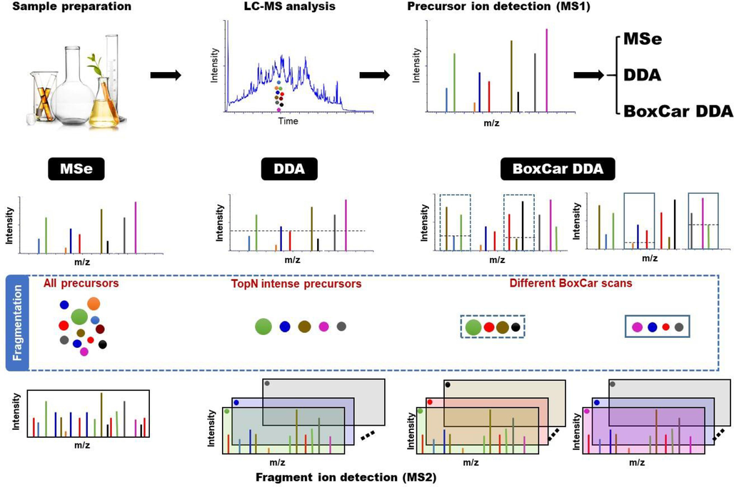 The workflow of this study.