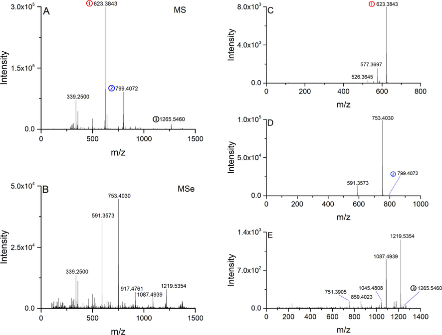 Full scan mass spectrum (A) and MSe spectrum (B) acquired at RT 12.25 min. DDA MS2 spectra of precursors at m/z 623.3843 (C), 799.4072 (D), and 1265.5460 (E).