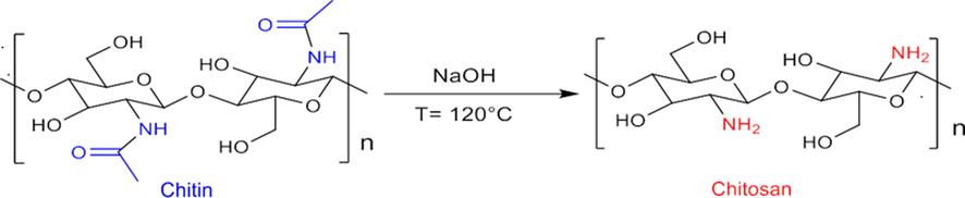 Chitosan biopolymer extracted from shrimp shell waste.