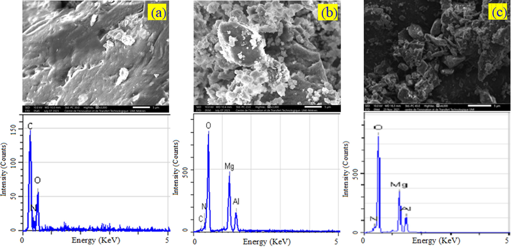 SEM images at 5 µm, and EDX analysis of (a) CS, (b) CS/MgAl–NO3 and (c) MgAl–NO3 catalysts.