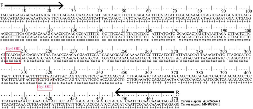 Strategy in the selection of primer and restriction enzyme site between Sika deer and Red deer. Footnote: Comparison of nucleotide sequence restriction sites of Cyt b gene primer region between Sika deer and Red deer. C. elaphus represents Red deer and C. nippon represents Sika deer; *represents the same base；F represents forward primer and R represents reverse primer；Red box represents the site for Hpy188III.