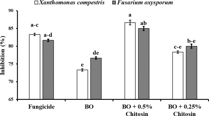 In-vitro effect of bergamot essential oil on seed colonization of Xanthomonas campestris and Fusarium oxysporum. The vertical bars indicate the standard error. Different letters indicate significant differences (p < 0.05) among treatments according to Tukey’s multiple range test.