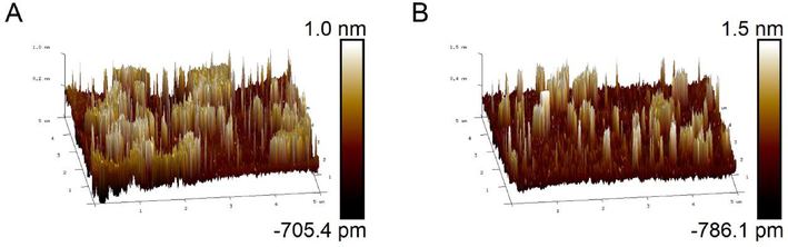 (A) Atomic Force microscopy before GO modification (B) Atomic force microscopy after GO modification of dsDNA.