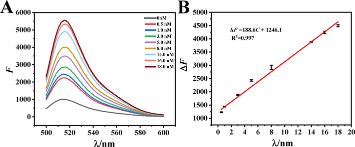 (A) Fluorescence spectra of aptamer sensors with different concentrations of E2 (B) Linear curve of E2 determination. The concentrations of HP1, HP2, Exo III and the volume ratio of dsDNA to GO were 4.0 μM, 10.0 μΜ,15.0 U and 1:1. The capture time of target is 30 min and enzyme cycle amplification temperature and reaction time were 37 °C and 60 min.