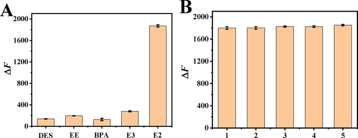 (A) Effect of different interferences on the variation value of fluorescence intensity of aptamer sensor. The concentrations of EE, BPA, DES and E3 were 20 nM. The concentrations of E2, HP1, HP2, Exo III and the volume ratio of dsDNA to GO were 2.0 nM,4.0 μM, 10.0 μΜ,15.0 U and 1:1. The capture time of target is 30 min and enzyme cycle amplification temperature and reaction time were 37 °C and 60 min.(B)Reproducibility of fluorescent aptamer sensors. The concentrations of E2, HP1, HP2, Exo III and the volume ratio of dsDNA to GO were 2.0 nM,4.0 μM, 10.0 μΜ,15.0 U and 1:1. The capture time of target is 30 min and enzyme cycle amplification temperature and reaction time were 37 °C and 60 min.