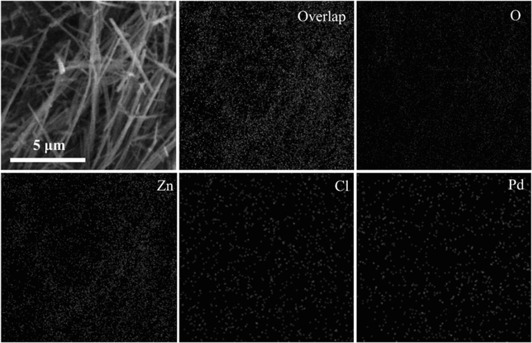 EDX mappings of PdCl2/ZnONWs.