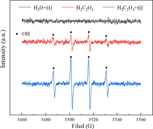 EPR spectra in different leaching systems.