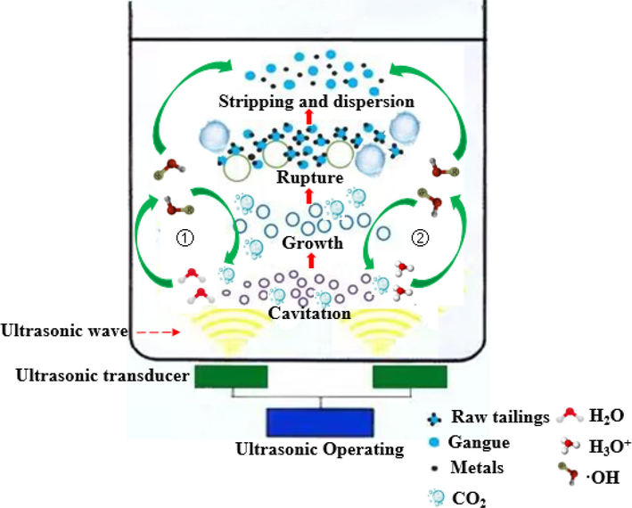 The mechanism of ultrasound in the complexation reaction of raw tailings.