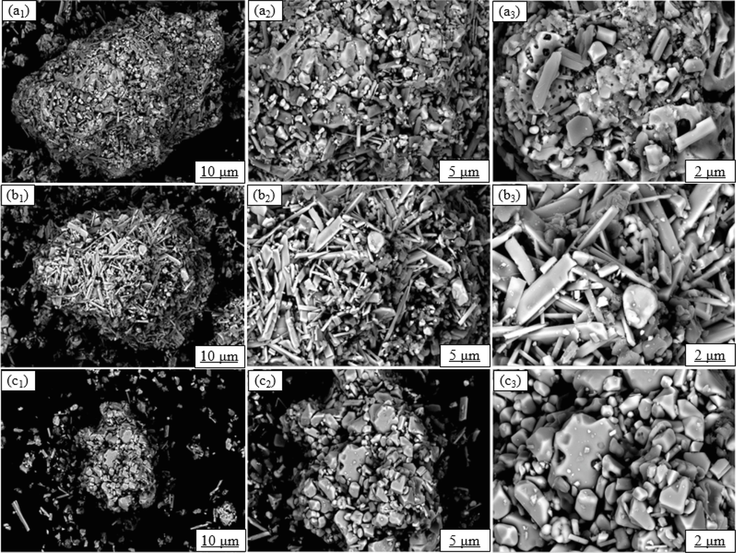 SEM images of raw tailings and leaching residues. (wt%) ((a) Raw tailings; (b) Conventional leaching residues; (c) Ultrasonic leaching residues).