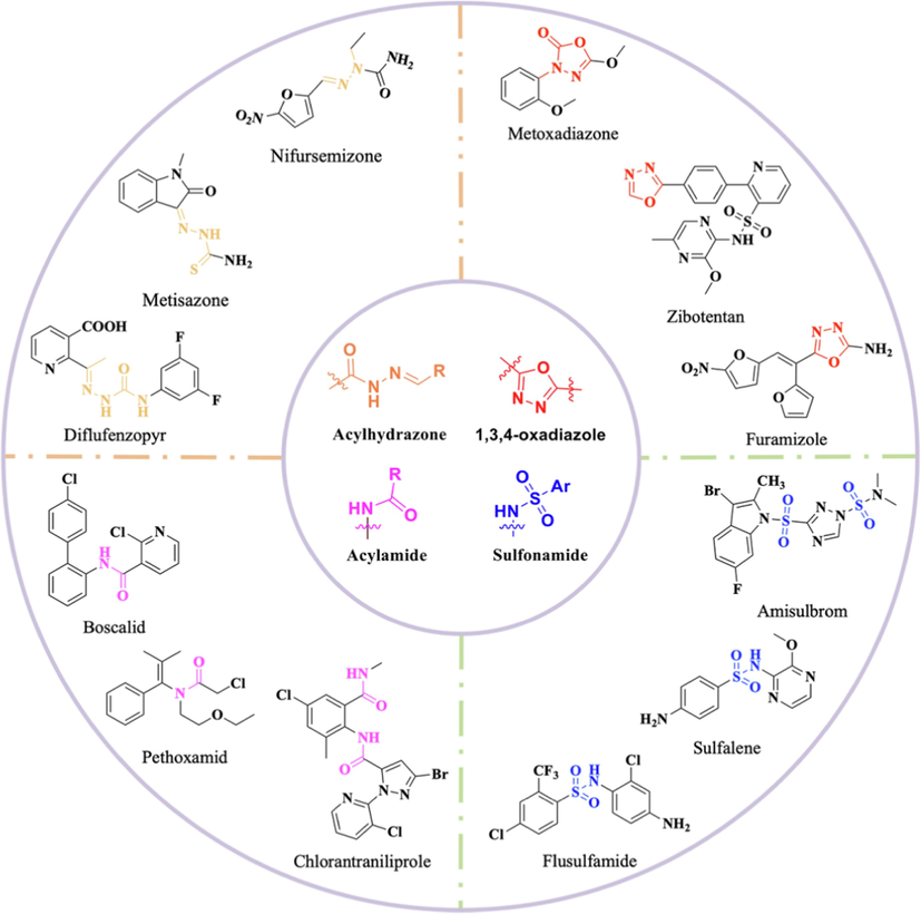 Commercialized drugs containing 1,3,4-oxadiazole, amide, acylhydrazone and sulfonamide moieties.