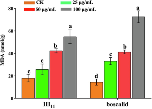 MDA content of N. oryzae treated with III11 and boscalid.