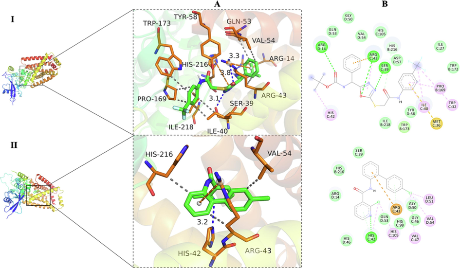 Molecular docking and binding sites of compound III11 (I) and boscalid (II) with the SDH protein (PDB code: 2FBW). A: 3D map; B: 2D map.