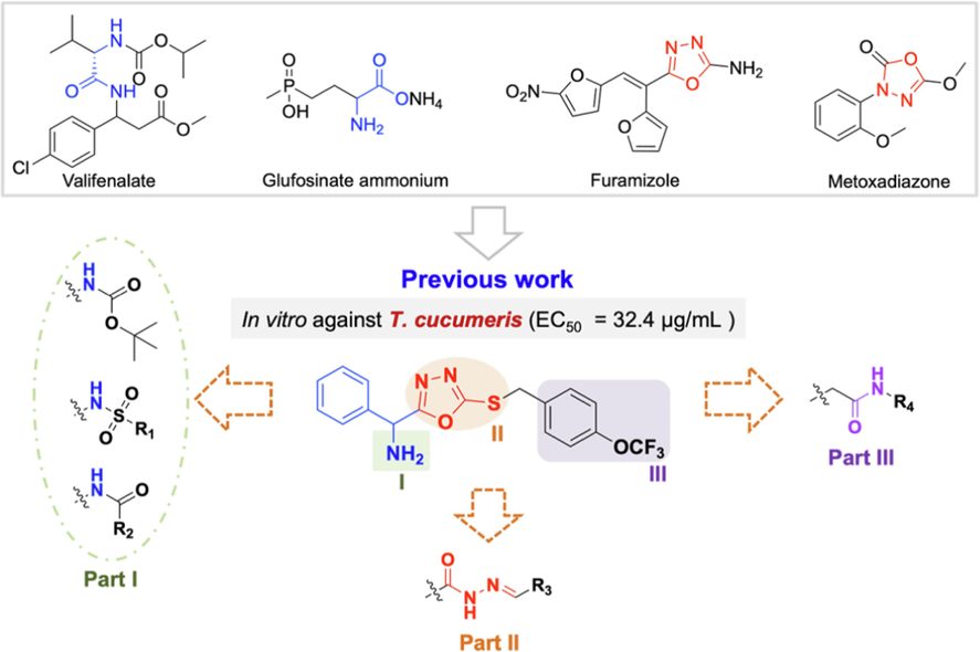 Molecular design strategy of the target compounds.