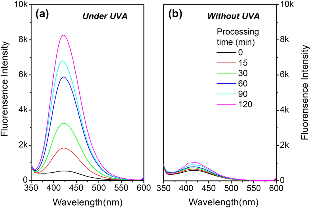 Concentration of HO• in TBCC/H2O2 system (a) with and (b) without UVA radiation, and (c) using different TBCC concentrations.