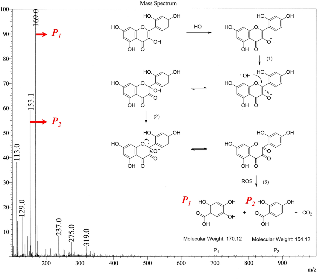 MS (positive ion mode) of degradation product and speculated degradation pathway of the morin.