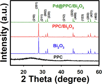 XRD patterns of PPC, pure Bi2O3, PPC/Bi2O3, and Pd@PPC/Bi2O3 photocatalysts.