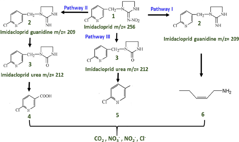 Proposed pathway for the degradation of imidacloprid.