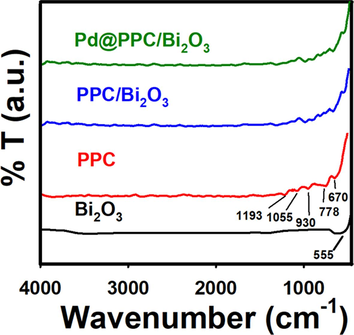 FTIR examination of Bi2O3, PPC, PPC/Bi2O3, and Pd@PPC/Bi2O3 photocatalysts.